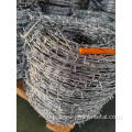 galvanized and stainless steel barbed wire